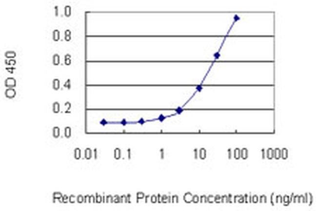 PPP4C Antibody in ELISA (ELISA)