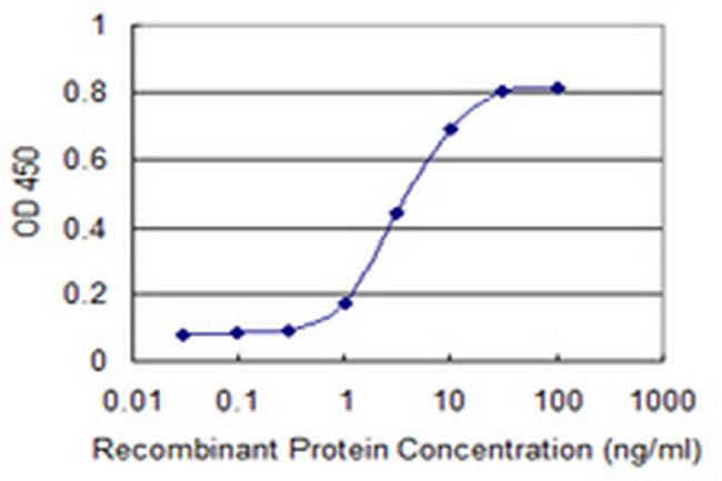 SRGN Antibody in ELISA (ELISA)