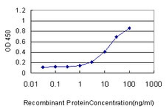 RAD51L3 Antibody in ELISA (ELISA)