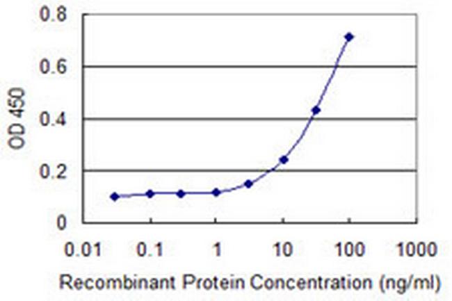 RBMY1A1 Antibody in ELISA (ELISA)