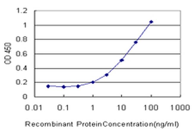 ROBO2 Antibody in ELISA (ELISA)