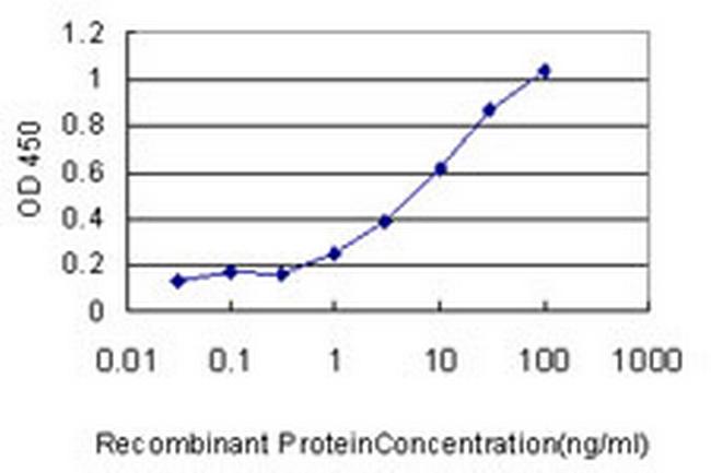 RPN1 Antibody in ELISA (ELISA)