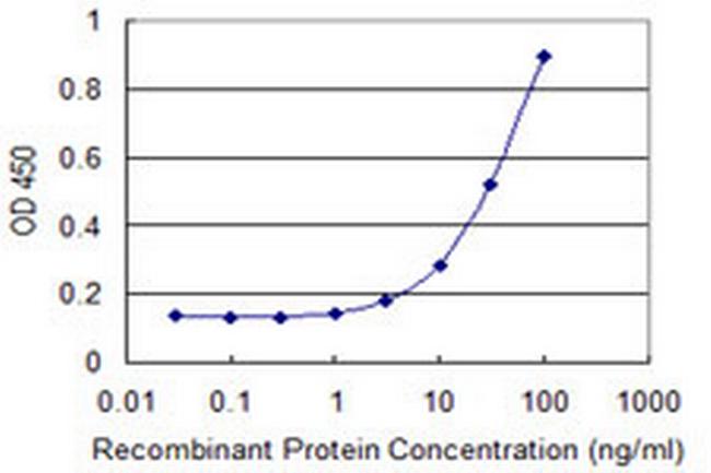 RPS8 Antibody in ELISA (ELISA)