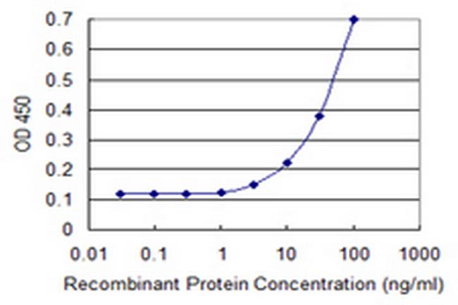 CCL2 Antibody in ELISA (ELISA)