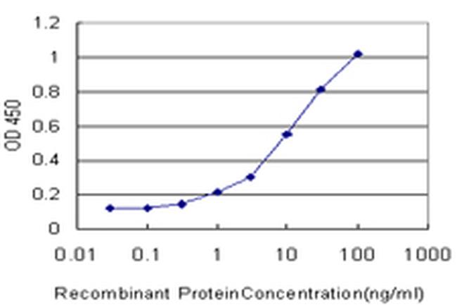 SLC1A2 Antibody in ELISA (ELISA)