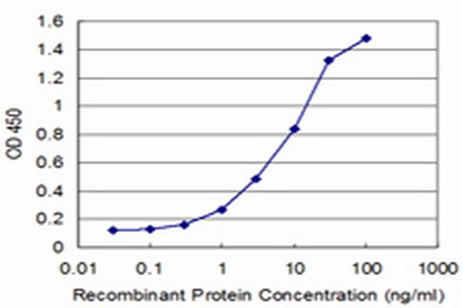 SNAI2 Antibody in ELISA (ELISA)