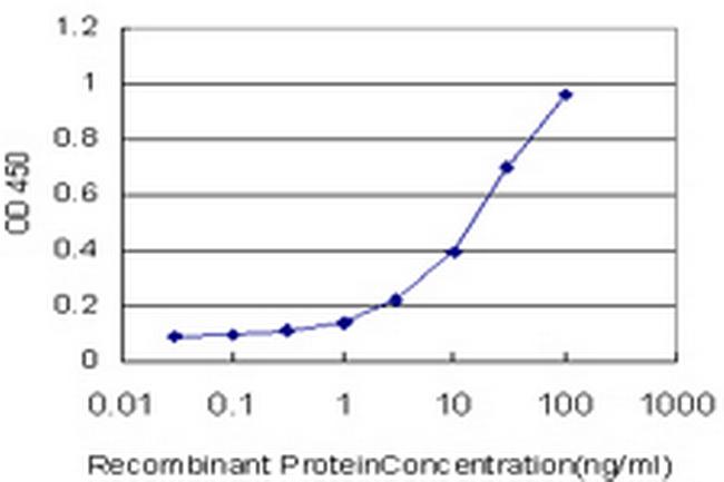 SMO Antibody in ELISA (ELISA)