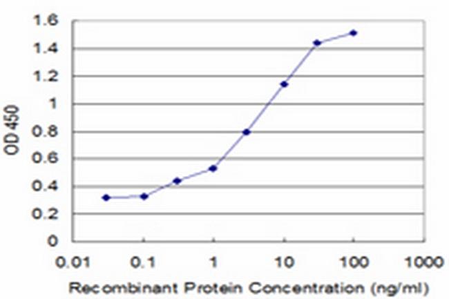 SP100 Antibody in ELISA (ELISA)