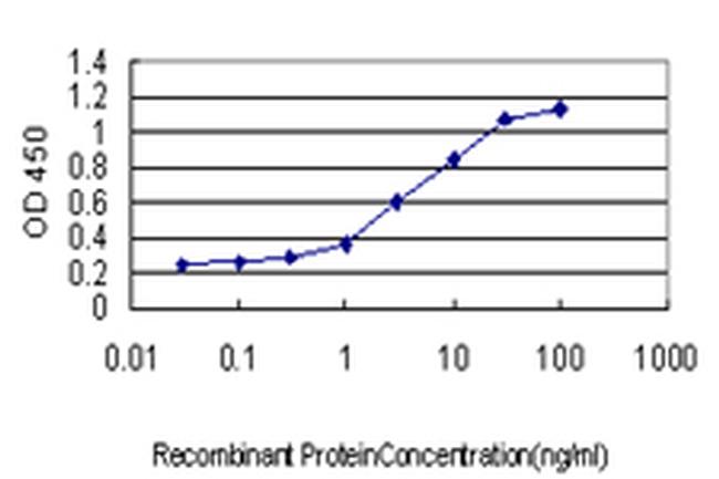 SPP1 Antibody in ELISA (ELISA)