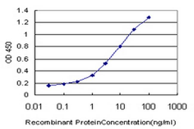 NEK4 Antibody in ELISA (ELISA)