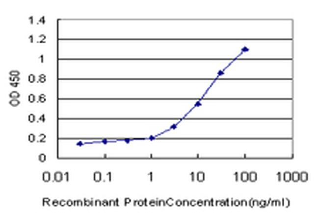 NEK4 Antibody in ELISA (ELISA)