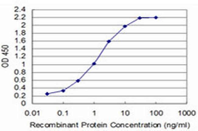 T Antibody in ELISA (ELISA)