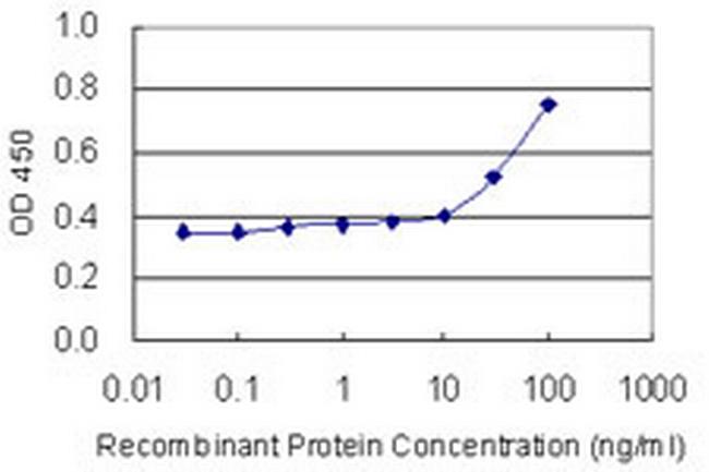 TGFB1 Antibody in ELISA (ELISA)