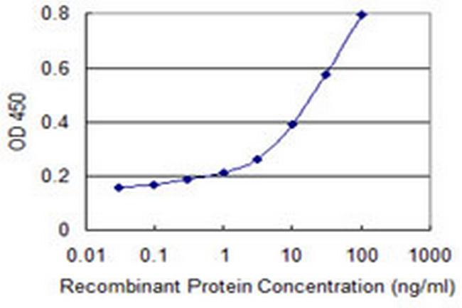 VIL1 Antibody in ELISA (ELISA)