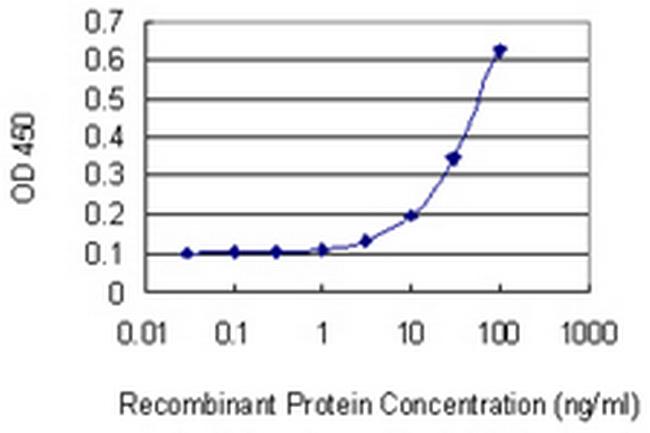 XRCC3 Antibody in ELISA (ELISA)