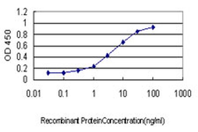 YWHAG Antibody in ELISA (ELISA)