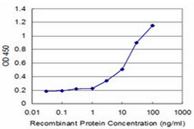 C10orf7 Antibody in ELISA (ELISA)