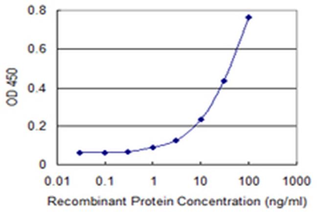 CCNA1 Antibody in ELISA (ELISA)