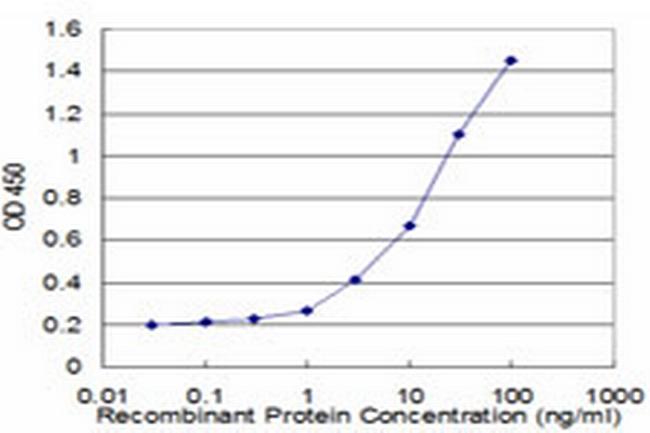 SOCS3 Antibody in ELISA (ELISA)