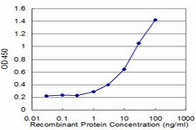 SOCS3 Antibody in ELISA (ELISA)