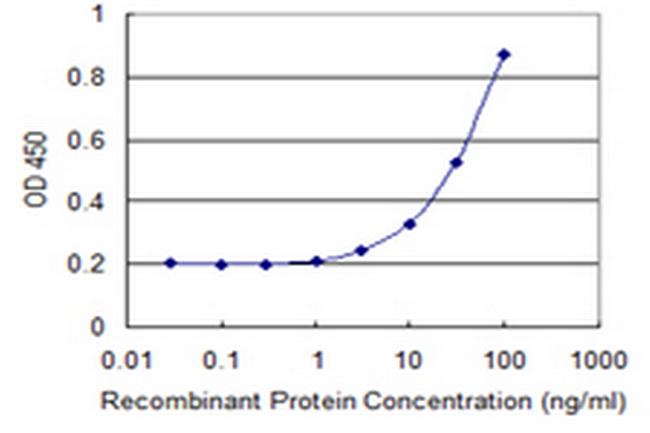 SLC28A2 Antibody in ELISA (ELISA)