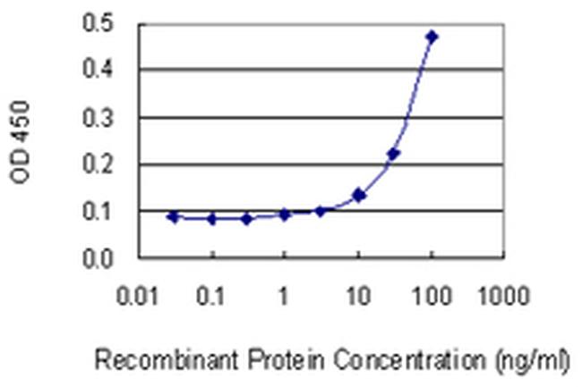 DLG5 Antibody in ELISA (ELISA)