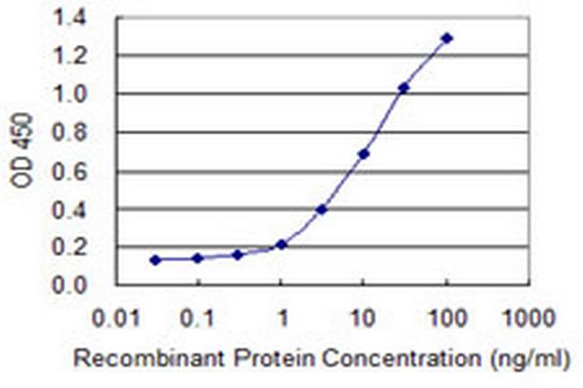 CNOT8 Antibody in ELISA (ELISA)