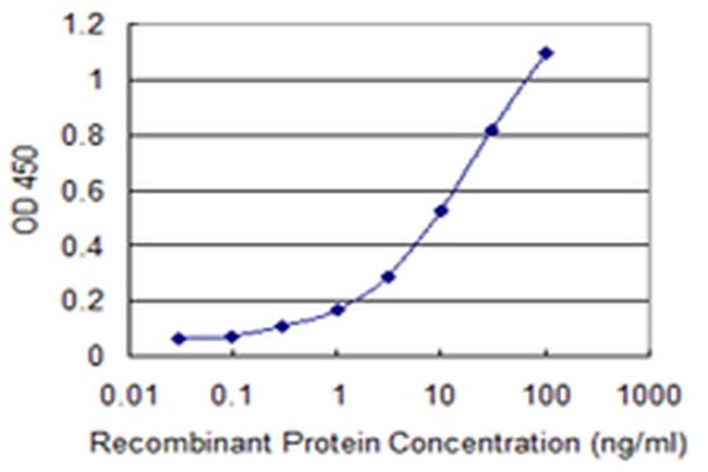 IKBKE Antibody in ELISA (ELISA)