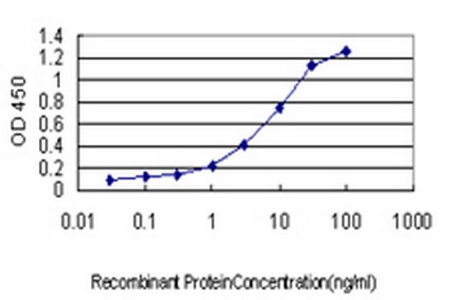 RAPGEF2 Antibody in ELISA (ELISA)