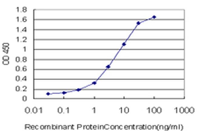 MLL4 Antibody in ELISA (ELISA)