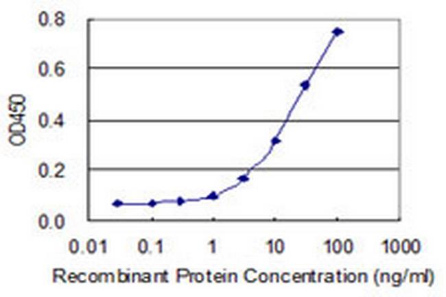 HS3ST2 Antibody in ELISA (ELISA)