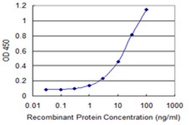 ZNF263 Antibody in ELISA (ELISA)