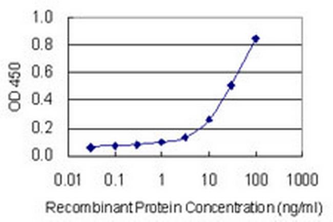 RAMP2 Antibody in ELISA (ELISA)