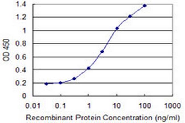 SYNCRIP Antibody in ELISA (ELISA)