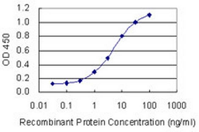 SEC24A Antibody in ELISA (ELISA)