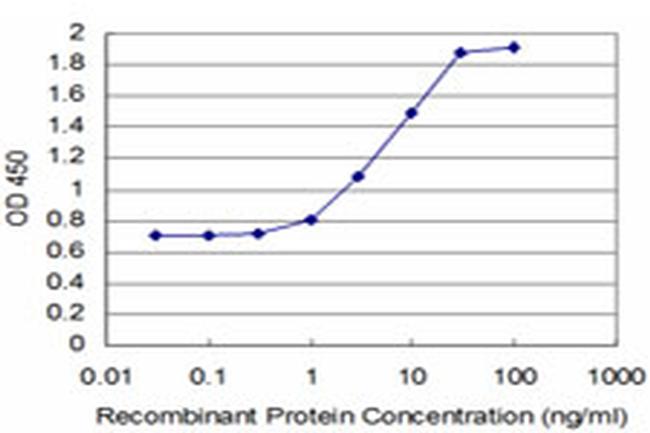 STMN2 Antibody in ELISA (ELISA)