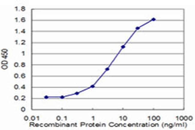 CHP Antibody in ELISA (ELISA)