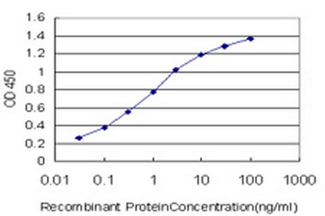 SCN11A Antibody in ELISA (ELISA)