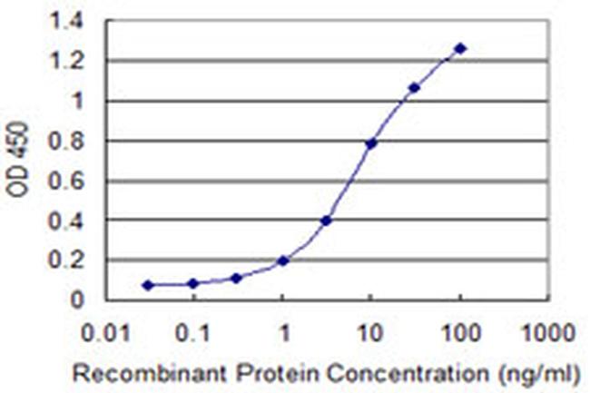 NLGN1 Antibody in ELISA (ELISA)