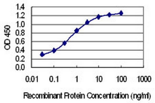 MLXIP Antibody in ELISA (ELISA)