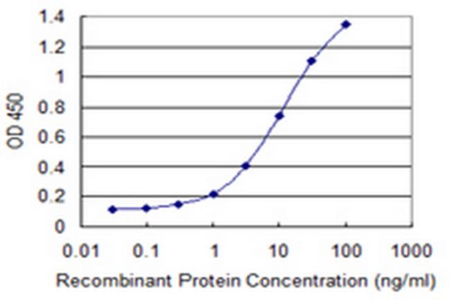 NCBP2 Antibody in ELISA (ELISA)