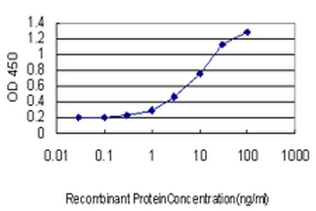 SYNE1 Antibody in ELISA (ELISA)