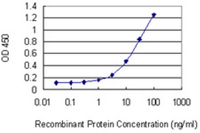 RHOQ Antibody in ELISA (ELISA)