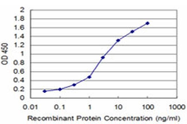 HEY1 Antibody in ELISA (ELISA)