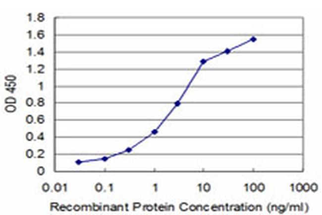 HEY1 Antibody in ELISA (ELISA)