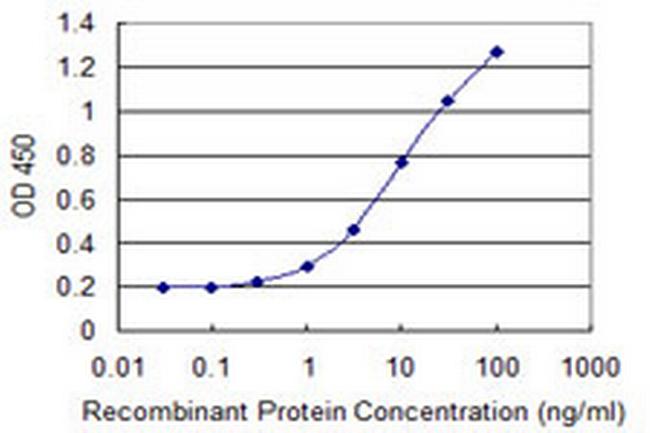 CHST5 Antibody in ELISA (ELISA)