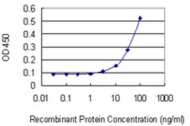 DDAH1 Antibody in ELISA (ELISA)