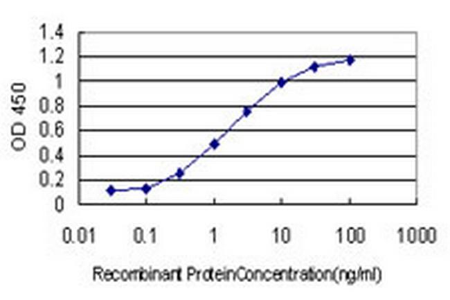 NUP62 Antibody in ELISA (ELISA)