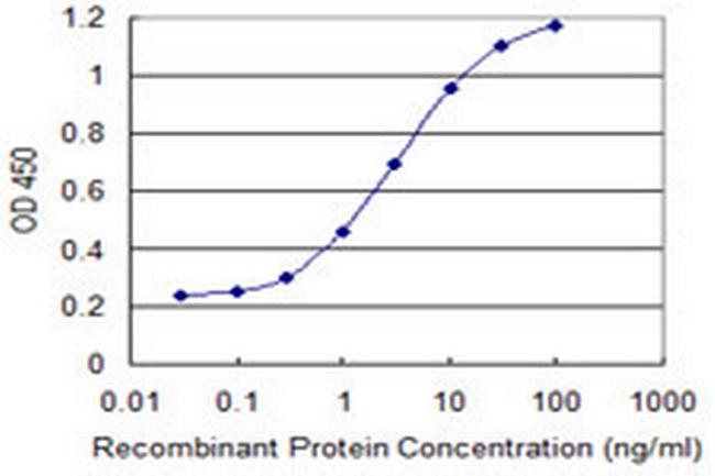 RASGRP3 Antibody in ELISA (ELISA)