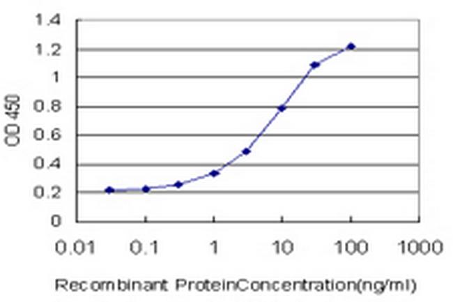 RAB26 Antibody in ELISA (ELISA)